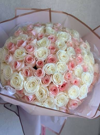 Blush & Ivory Roses