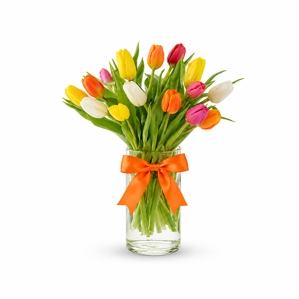 Rainbow Tulips