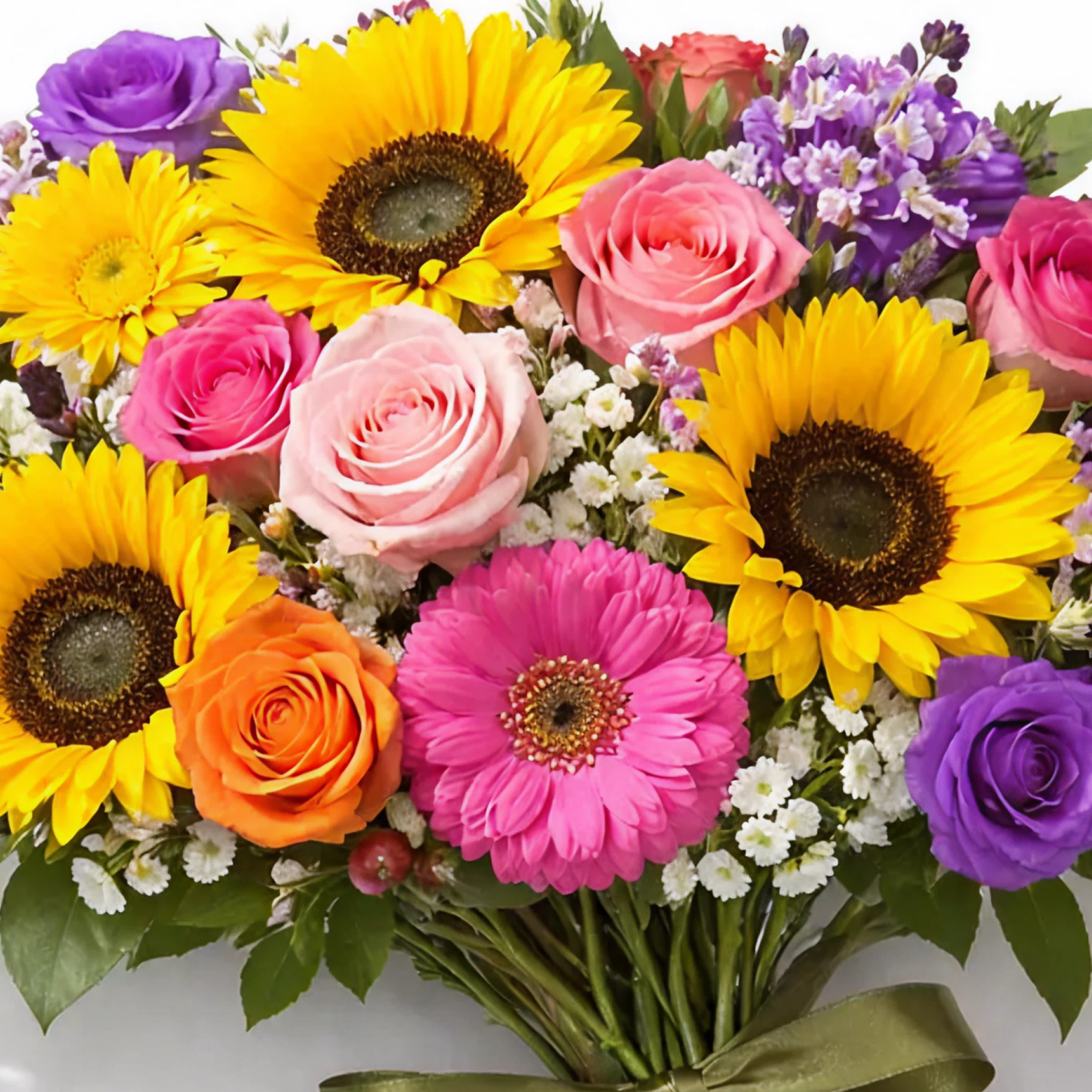 Color Story Collection