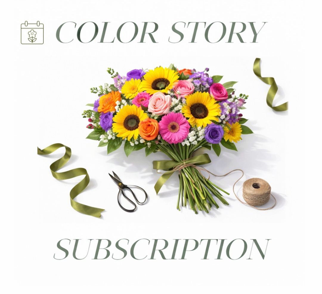 Color Story Collection