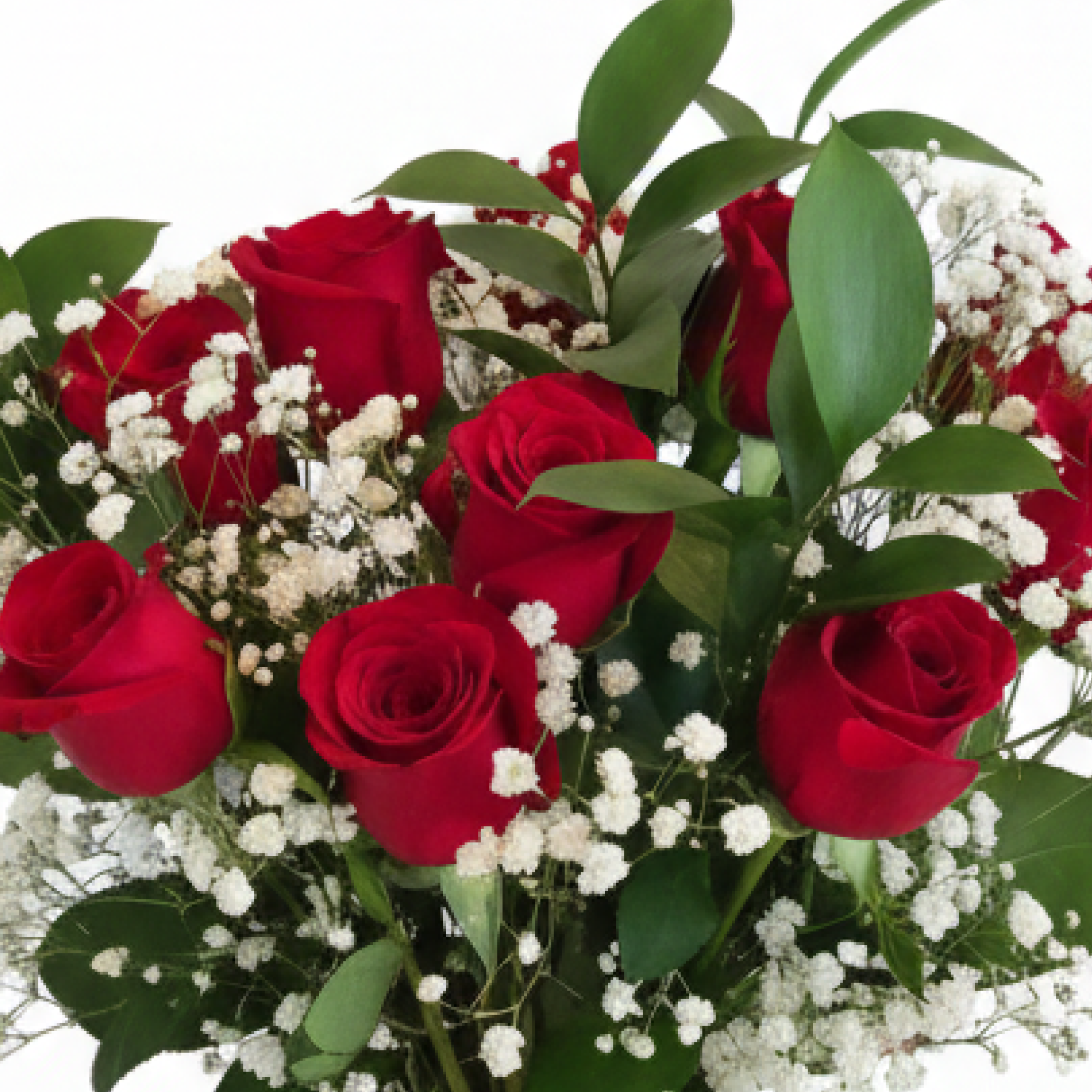 Endless Love - Red Roses