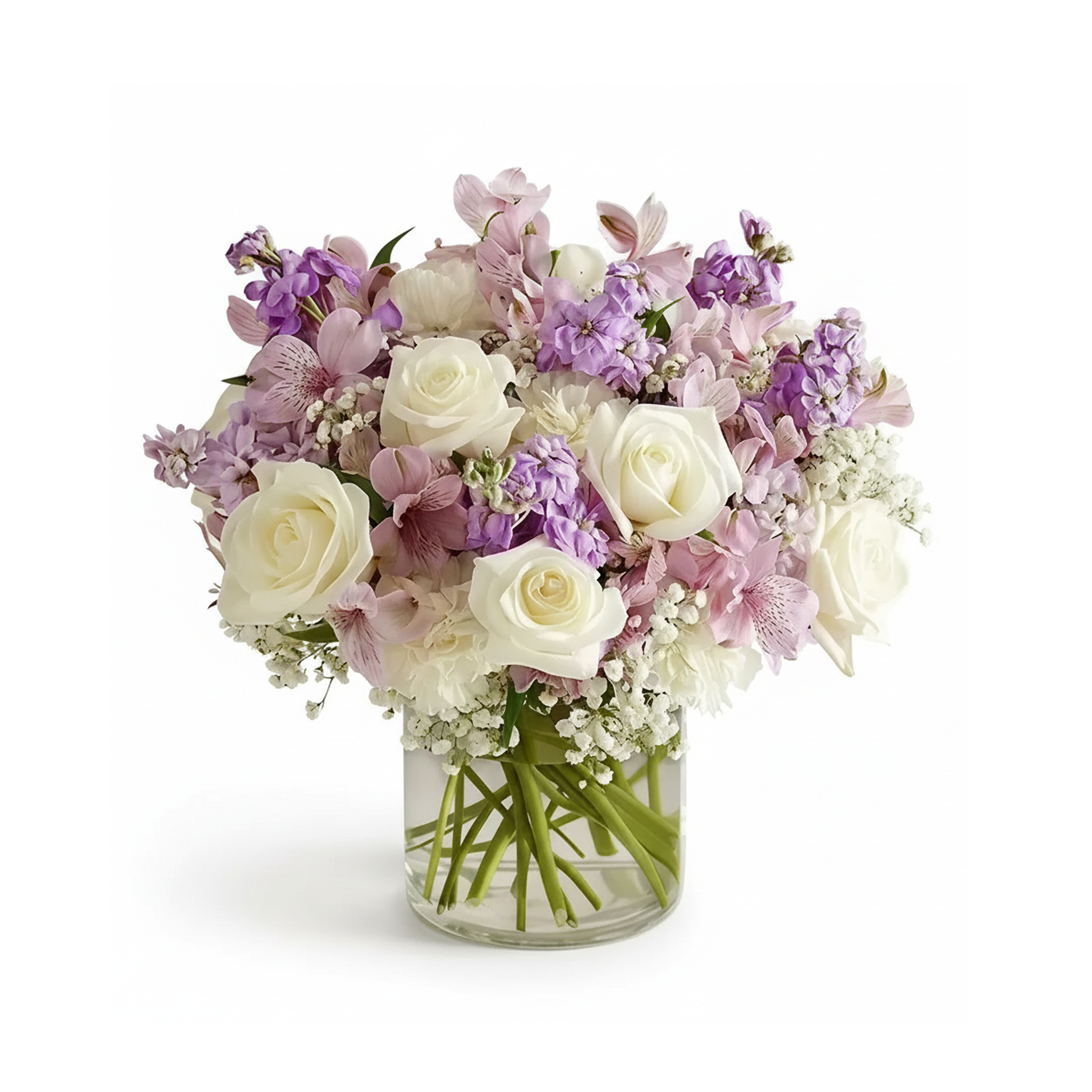 Lavender Reflections