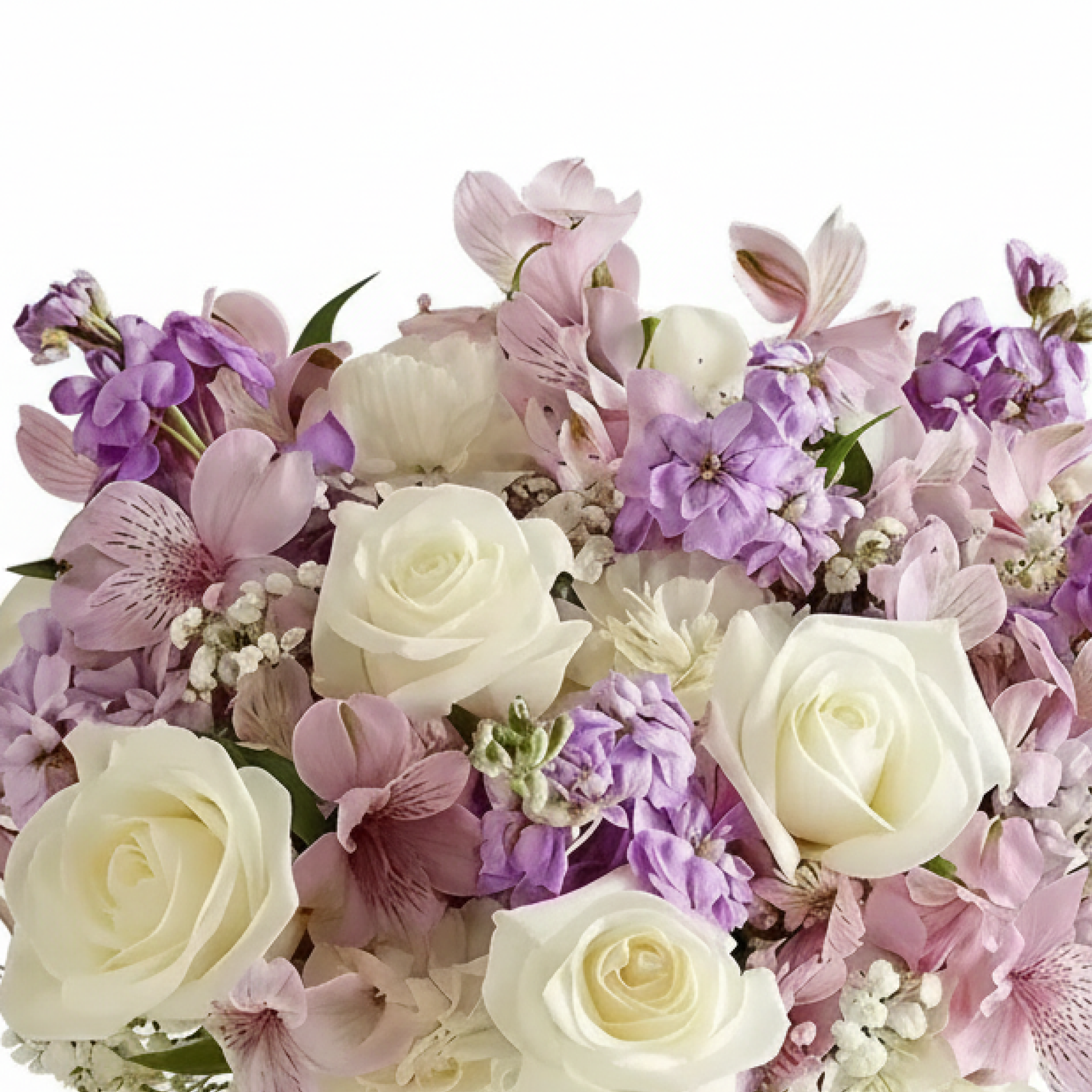 Lavender Reflections