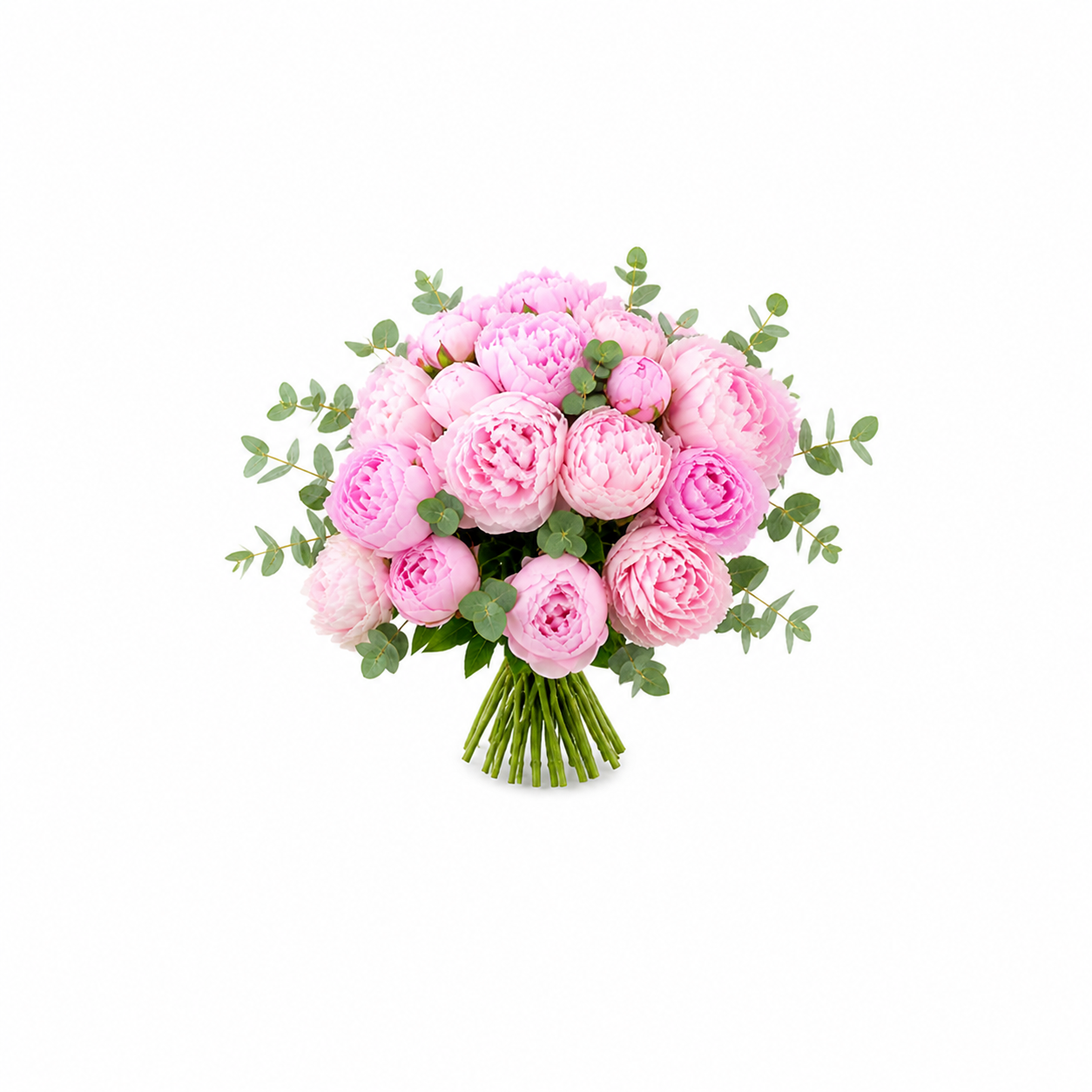 Mom’s Peony Dream