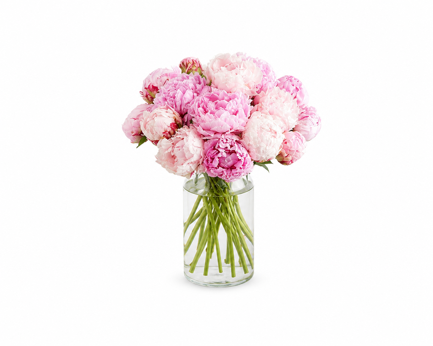 Mom’s Peony Dream