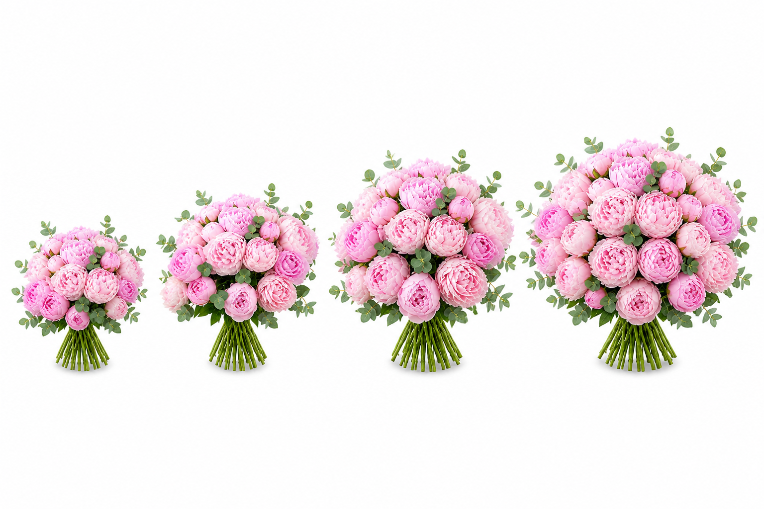 Mom’s Peony Dream