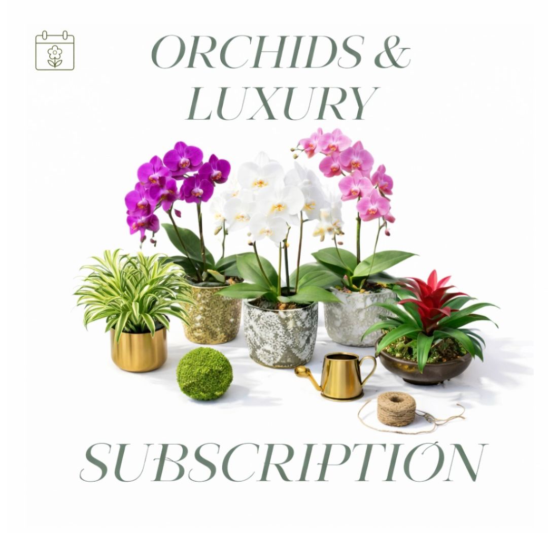 Orchids & Luxury Plants