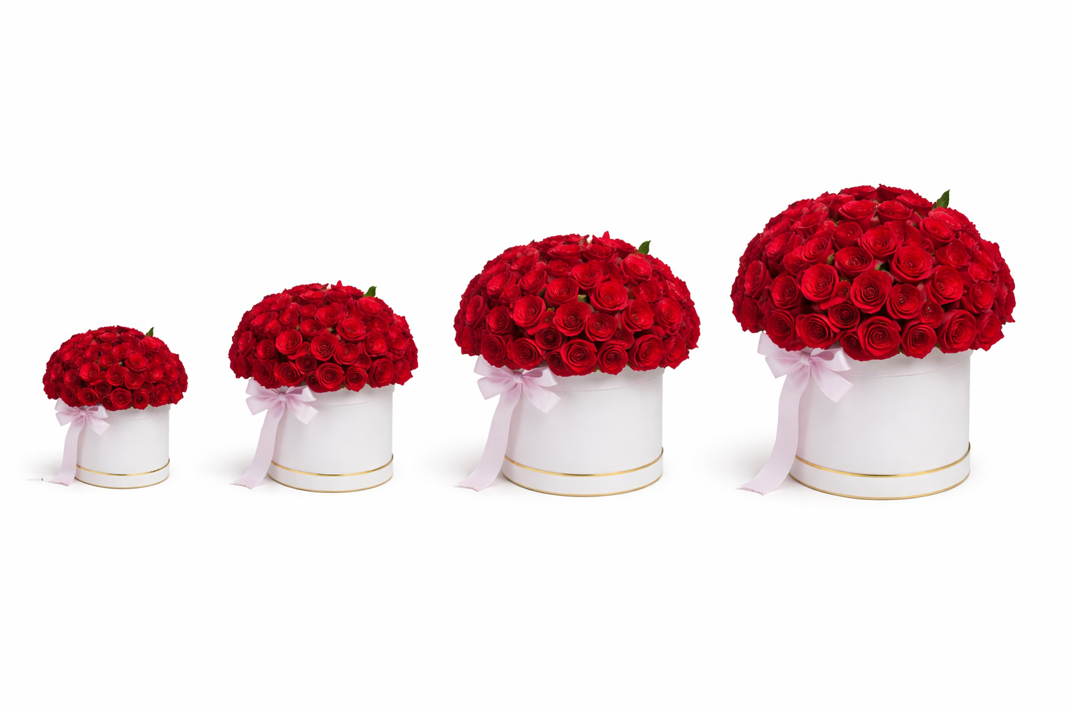 Parisian Rose Box