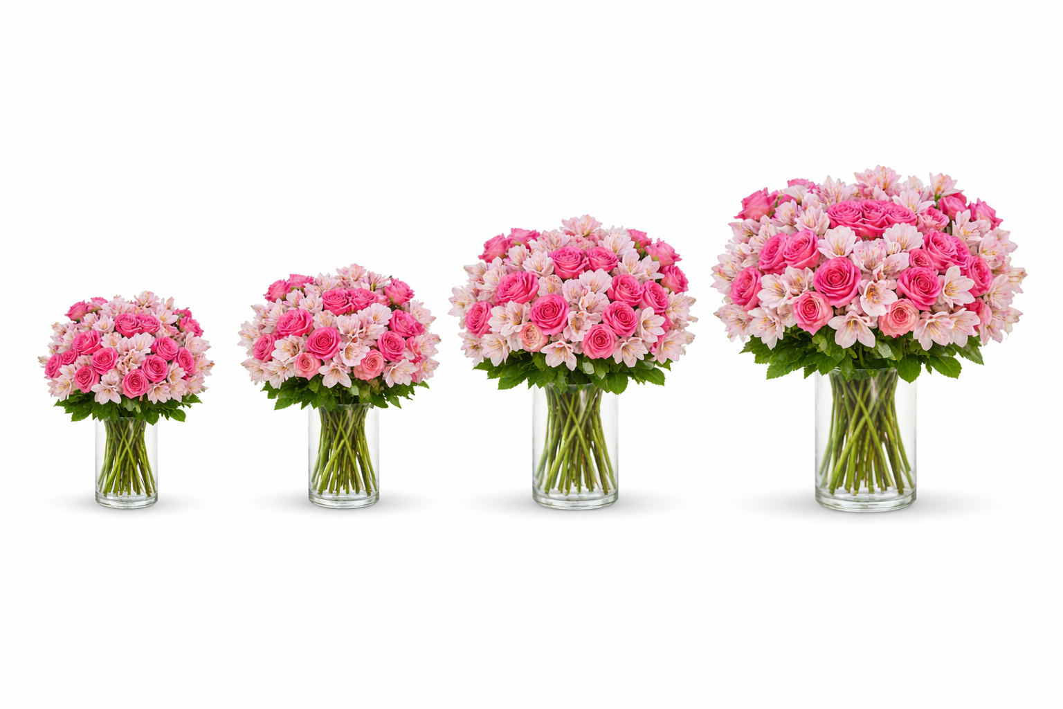 Pink Delight