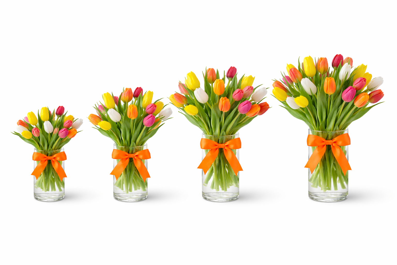 Rainbow Tulips