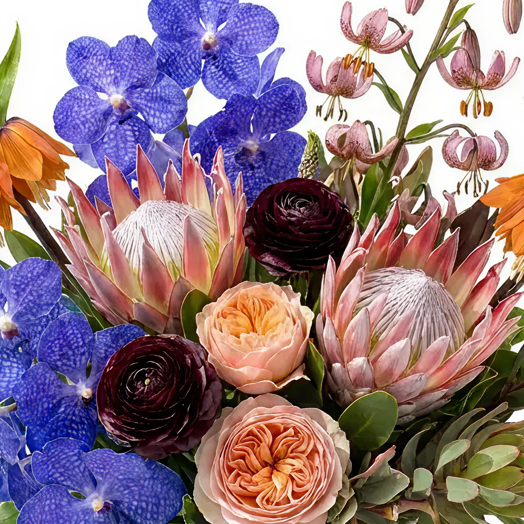 Rare & Curated Blooms