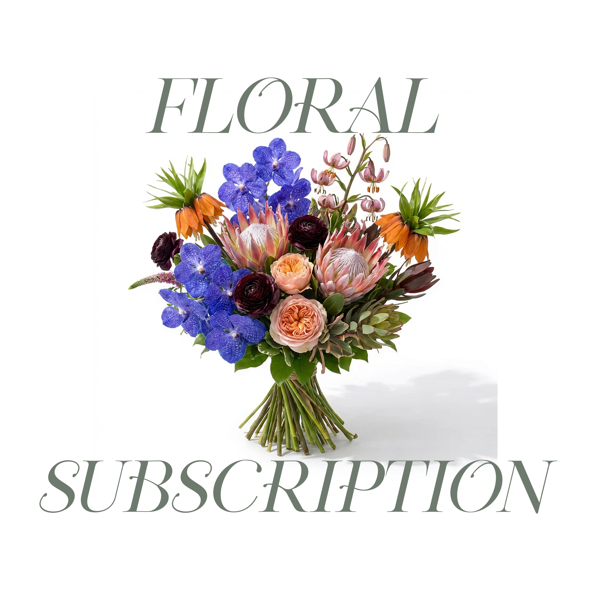 Rare & Curated Blooms