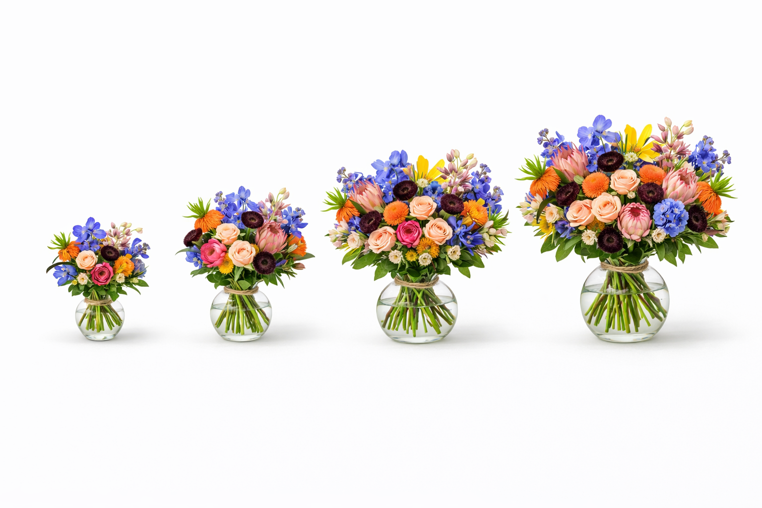 Rare & Curated Blooms