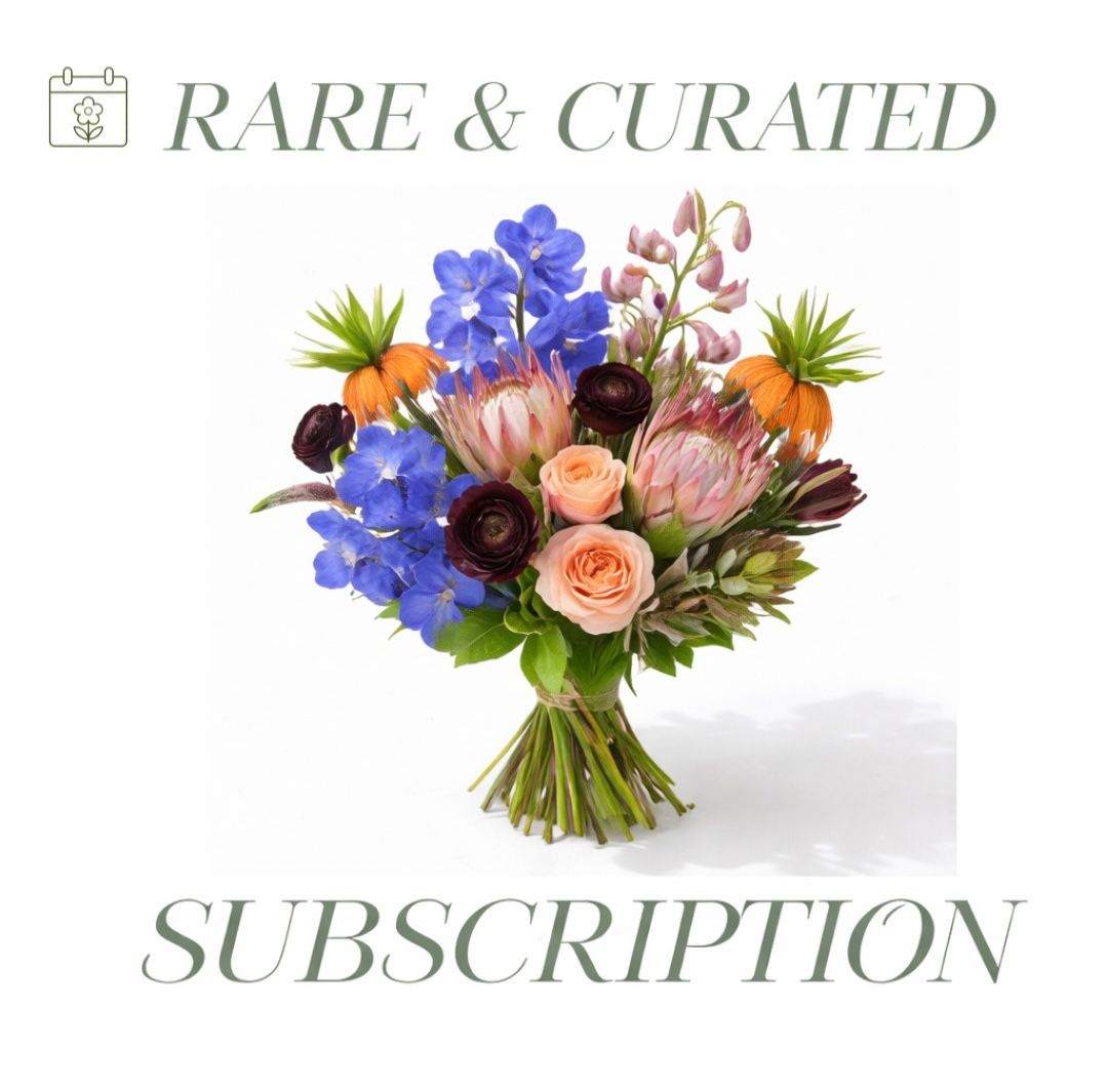 Rare & Curated Blooms