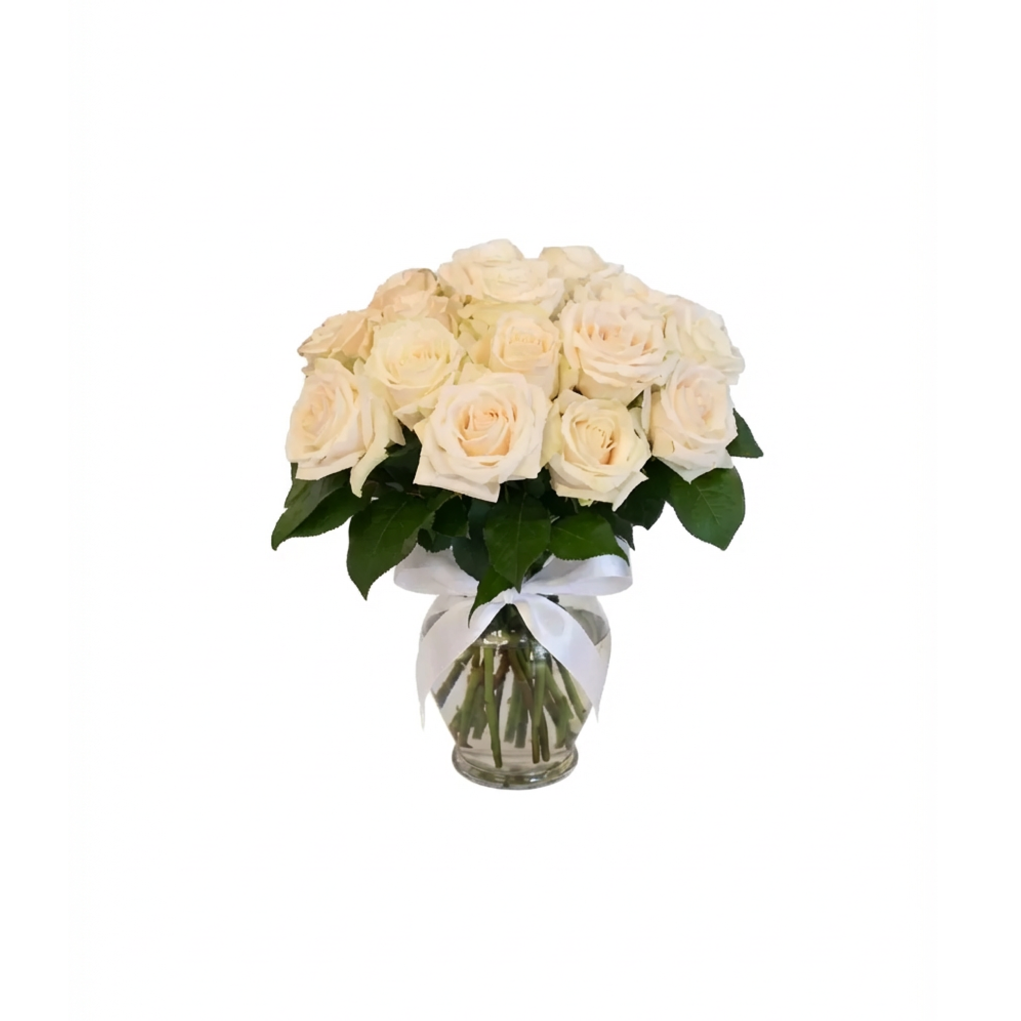 Soft Memories- White Roses