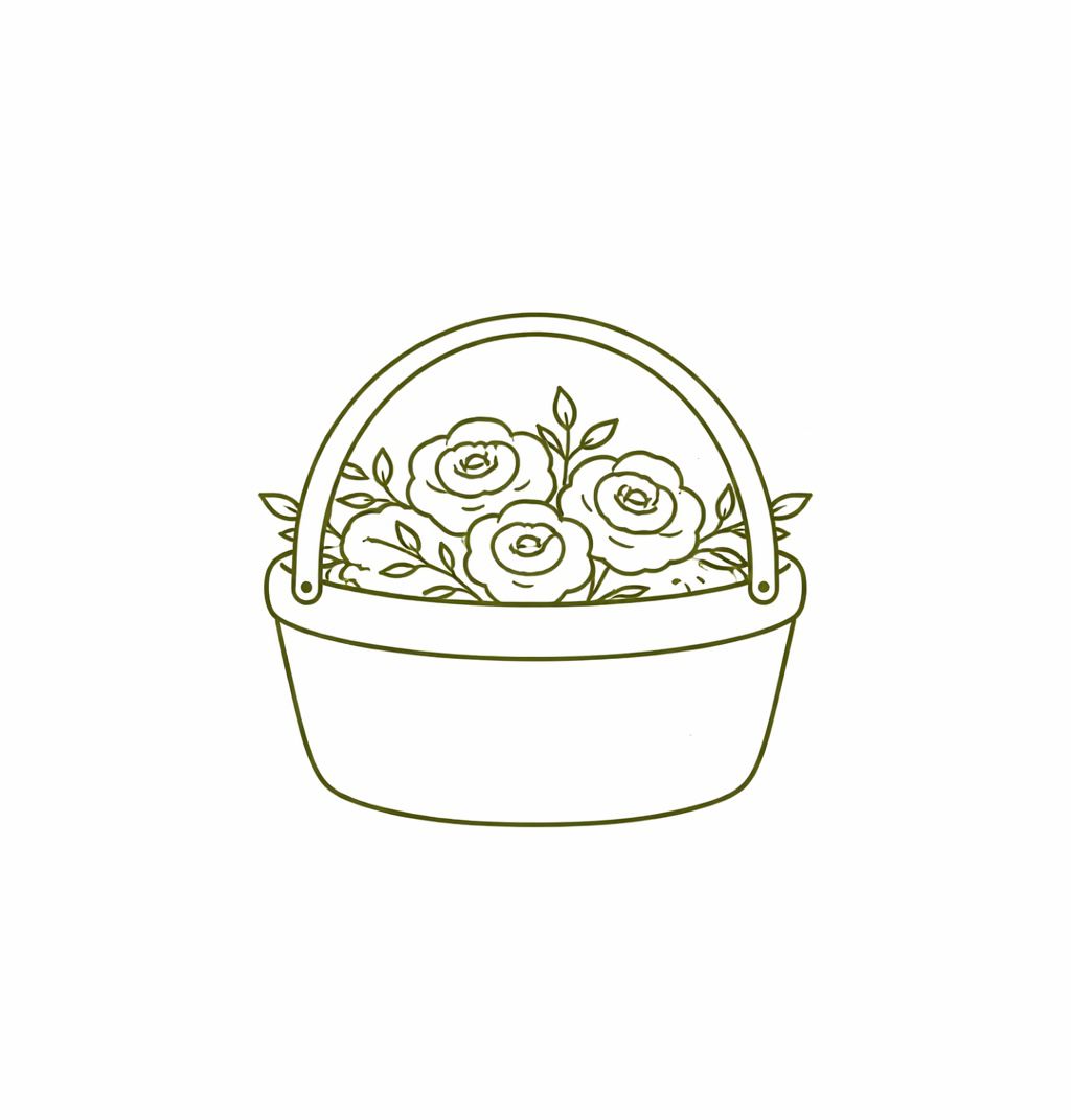 Boxes & Basquets