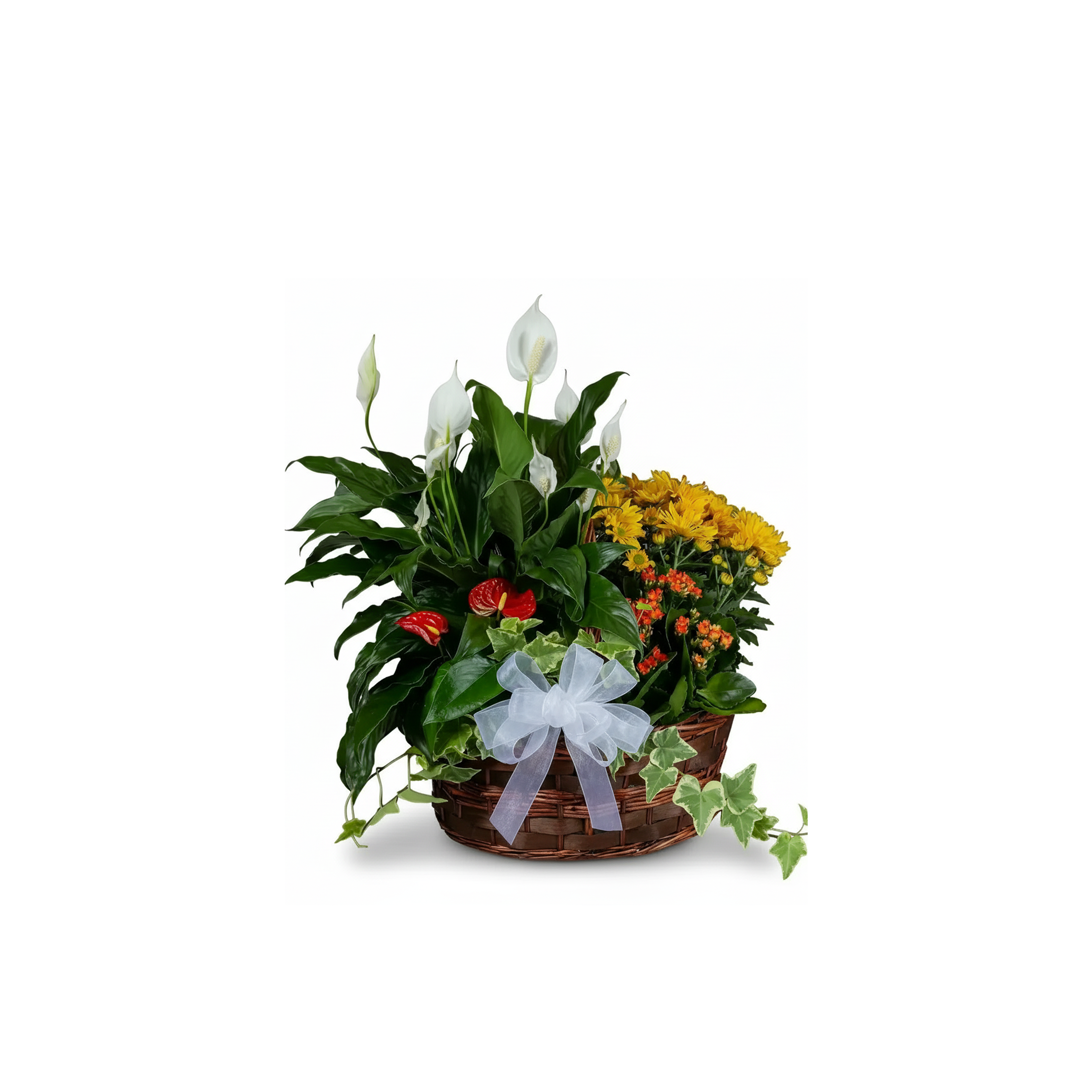 Woodland Whisper Basket