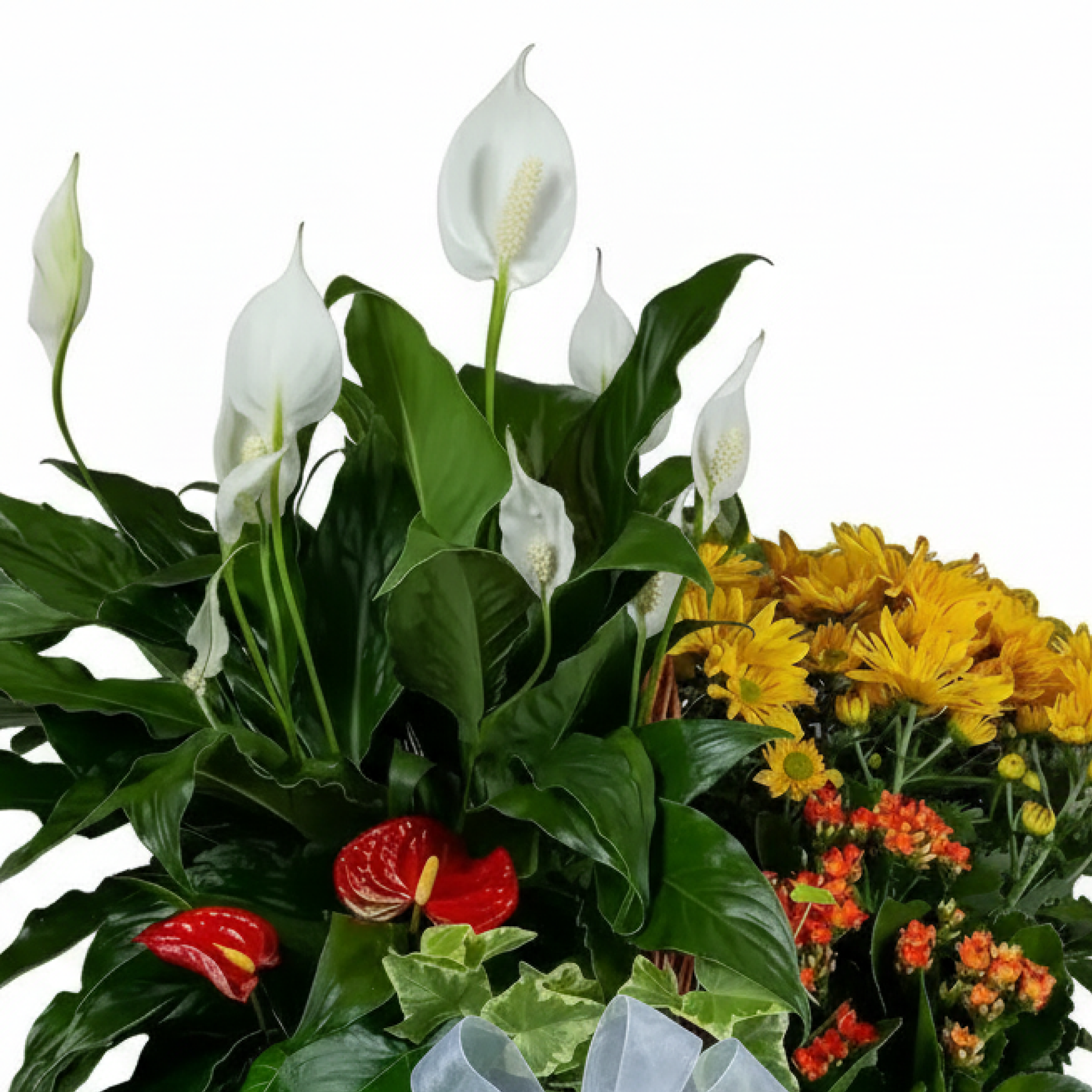 Woodland Whisper Basket