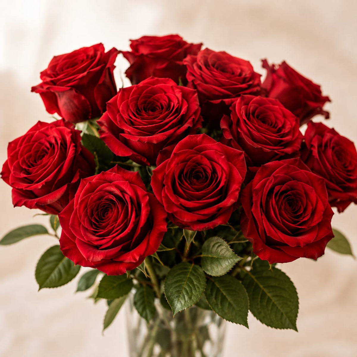 Romantic Roses in a vase